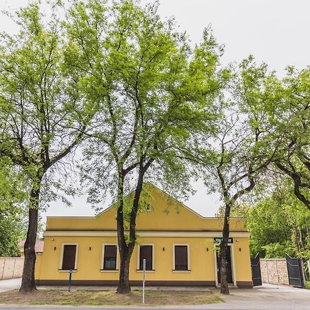 Vila Guliver Палич Екстериор снимка