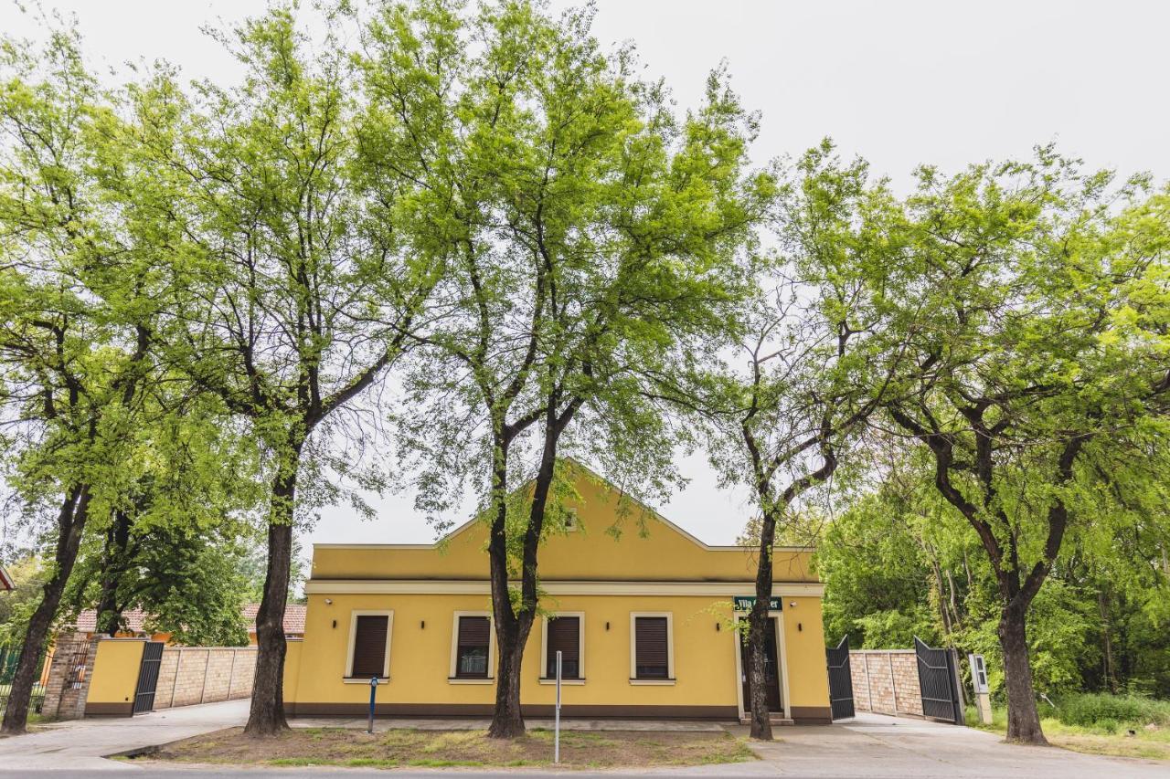 Vila Guliver Палич Екстериор снимка
